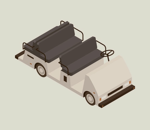 Buggy Service